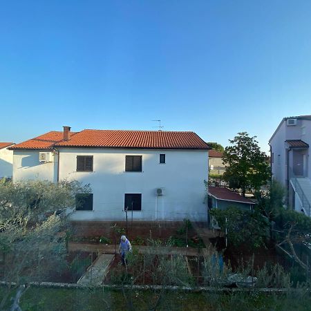 Apartman Milka Novigrad  Exterior photo
